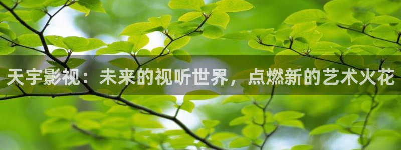 飞马影视
