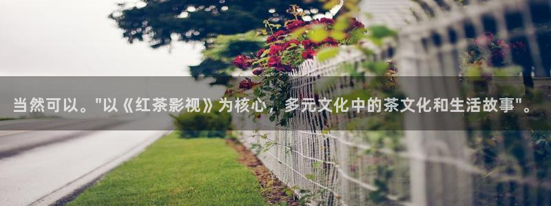 飞马影院下载安装
