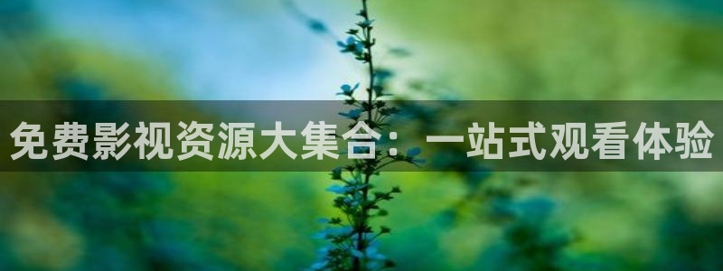 飞马良子影视有限公司