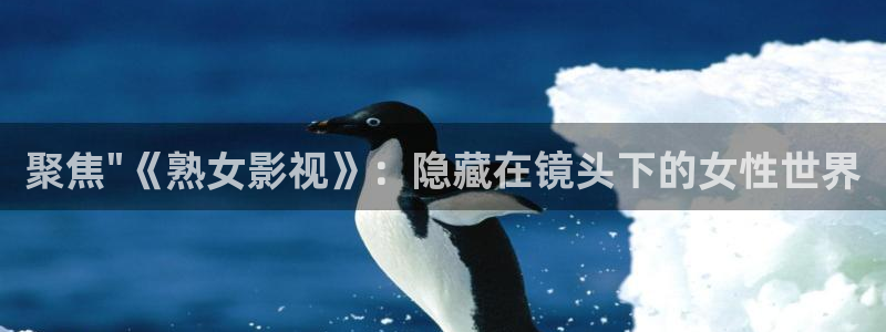 飞马影院app