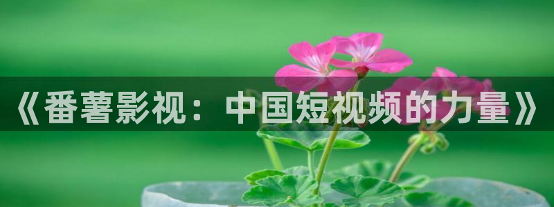 飞马影院app