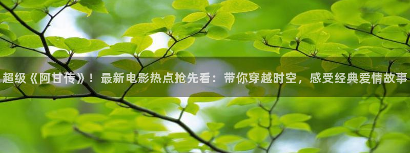 飞马良子影视有限公司