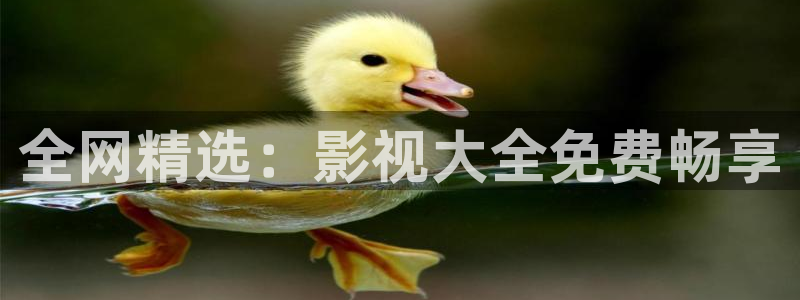 飞马影院免费下载